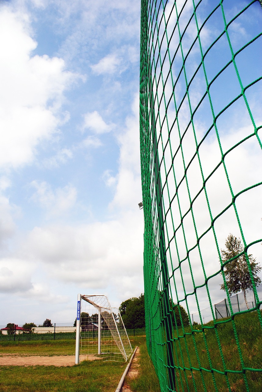 勇士雷霆库里亚历山大.