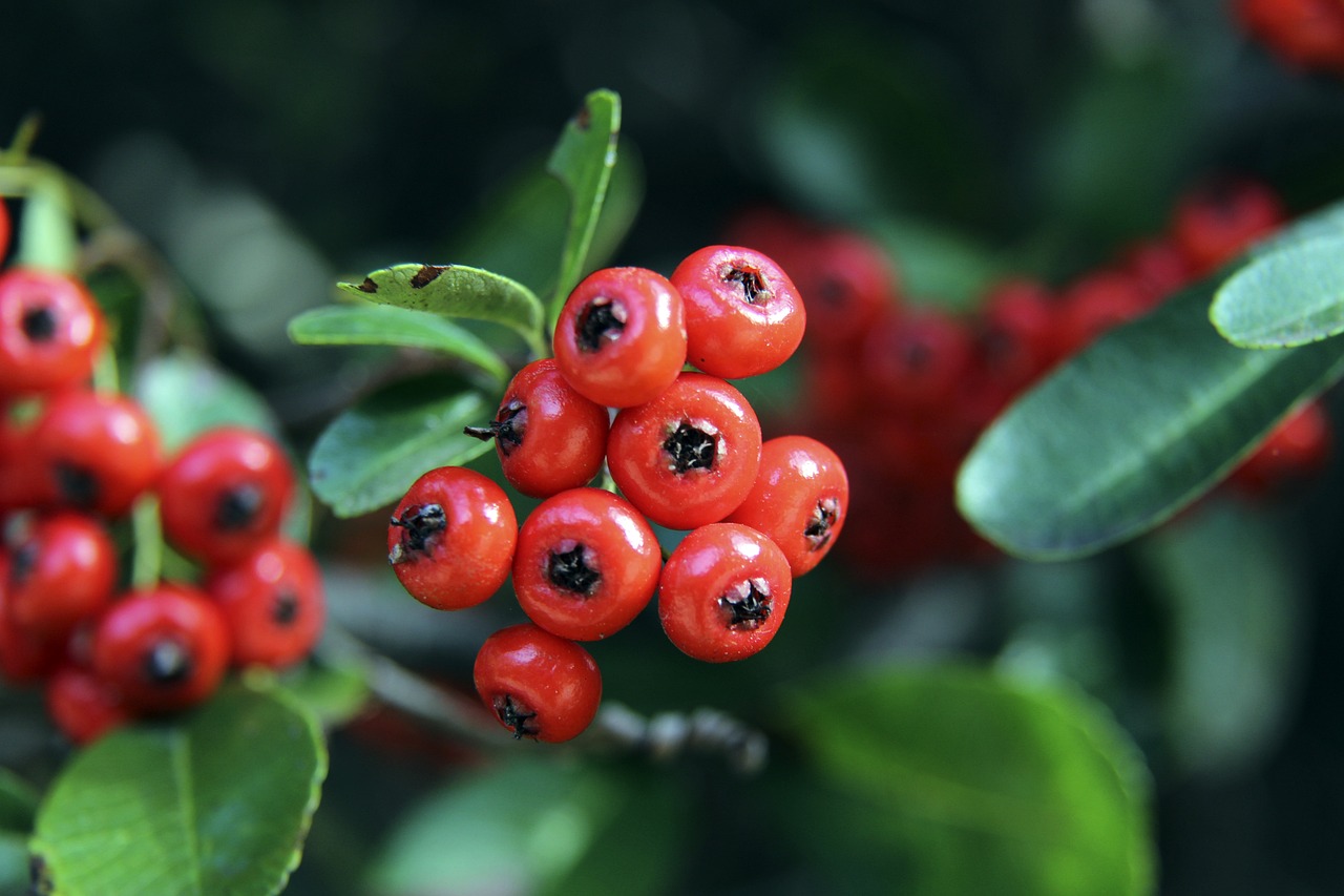 NBA前瞻：骑士 vs 快船.